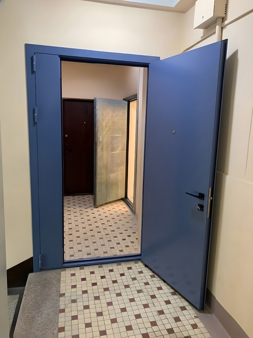 Дверь в тамбурное помещение
